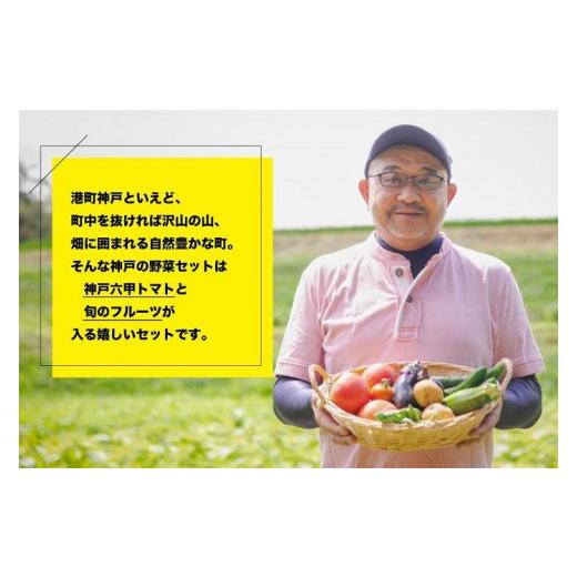 ふるさと納税 兵庫県 神戸市 神戸のお野菜詰め合わせセット（六甲トマトと季節のフルーツ入）12ヶ月定期便