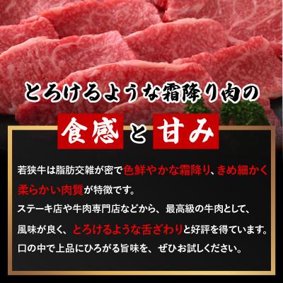 ふるさと納税 越前町 若狭牛 和牛肩ロース焼肉用 計500g(250g × 2パック)