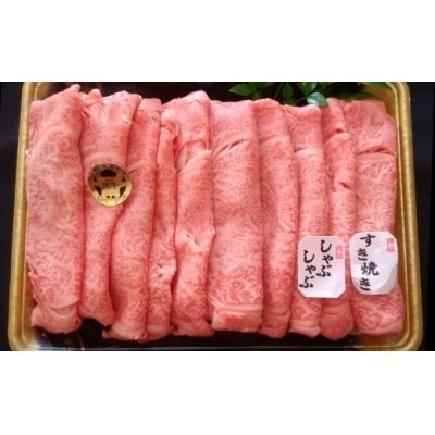 ふるさと納税 錦江町 鹿児島県産 黒毛和牛 肩ロース しゃぶ・すき肉 500g