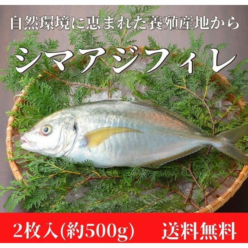 シマアジフィレ 2枚入り500g 鰤王 日本一 国産 鹿児島県 刺身 高品質 あじ アジ シマアジ 産地直送 真空パック 安心 新鮮 お中元 お歳暮 通販 Lineポイント最大0 5 Get Lineショッピング