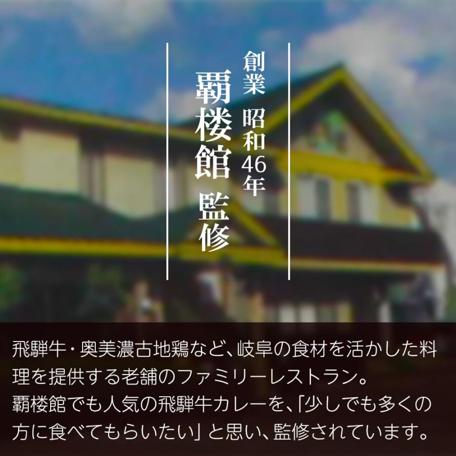 覇楼館 監修 飛騨牛100％ 飛騨牛カレー［中辛］（1人前） ビーフカレー 飛騨牛 牛肉 (ポスト投函-1)