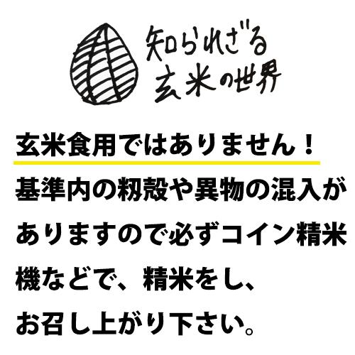 新米 米 30kg 秋田こまち 5年産 秋田県産 あきたこまち 玄米30kg 秋田こまち