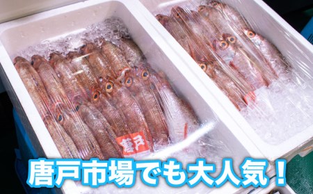 のどぐろ 500g up 1尾 特大 サイズ 冷蔵 アカムツ 下関 唐戸市場 直送 のどぐろ 下関名産のどぐろ 下関水揚げのどぐろ 高級魚のどぐろ 白身のどぐろ 刺身や煮つけにおすすめのどぐろ お酒のつまみのどぐろ 下処理済のどぐろ 冷蔵のどぐろ 8月以降お届けのどぐろ 鮮度抜群のどぐろ FY002_reizou