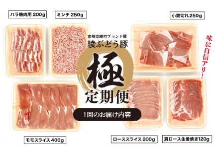 国産 豚肉 ブランド 豚 綾ぶどう豚 よりどり 詰め合わせ 6か月 定期便 セット 指定月 中旬 お届け ロース スライス 生姜焼き バラ 焼肉 小間切れ モモ スライス ミンチ しゃぶしゃぶ(22-37)