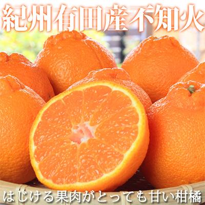 ふるさと納税 日高町 紀州和歌山産旬のご家庭用柑橘セット(みかん・不知火・レモン)全3回