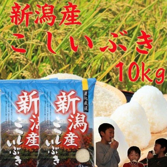 米・穀物 米 精米 新米新潟県産こしいぶき白米10キロ令和4年産プレゼント付き 産地直送