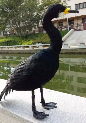 定做各種動物模型 仿真鸕鶿 羽毛魚鷹 小鳥園林裝飾 攝影教學道具