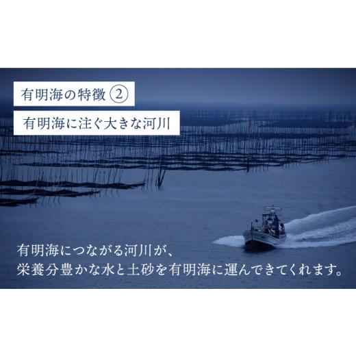 ふるさと納税 佐賀県 吉野ヶ里町 ＜焼きのり6回定期便＞佐賀海苔ボトル（8切56枚）2本セット 株式会社サン海苔 吉野ヶ里町 [FBC027]