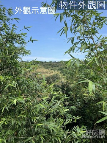 專約淡水中和段農地｜新北市淡水區中和段