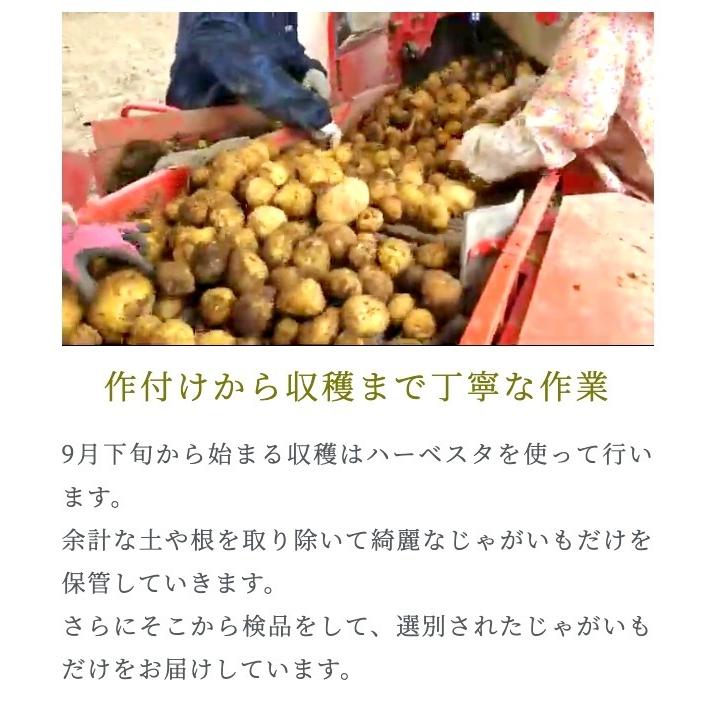 正規品ノーザンルビー10kg 北海道剣淵町産じゃがいも