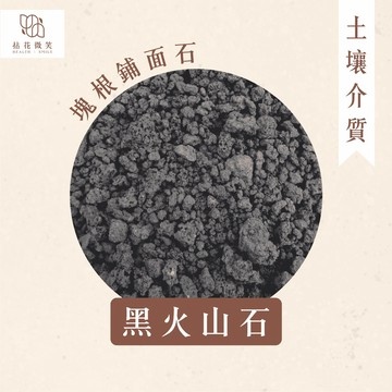 【拈花微笑】火山石 ｜750g｜塊根鋪面石｜多肉表面石｜裝飾石