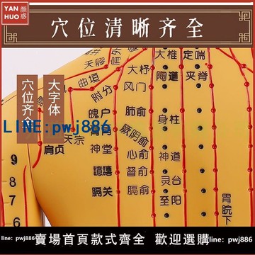 【便宜有好貨】針灸穴位人體模型假人模型全身醫學美術經絡教學中醫銅人小人練習