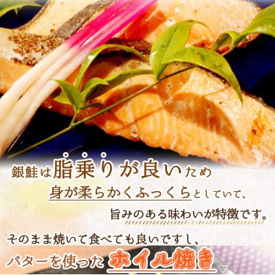 ふるさと納税 那智勝浦町 和歌山魚鶴仕込の甘口塩銀鮭切身14切(2切×7パック　小分け)