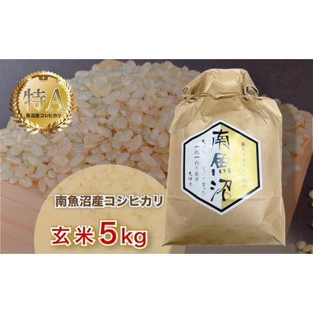 ふるさと納税 令和5年産「越後湯沢産」玄米5kg 新潟県湯沢町