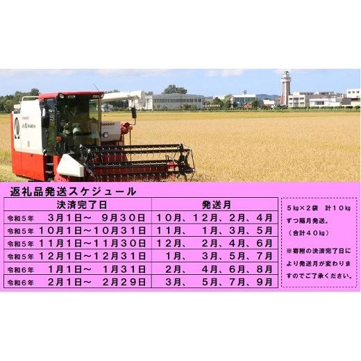 ふるさと納税 北海道 秩父別町 令和5年産 無洗米ななつぼし定期便40kg(隔月10kg×4か月)