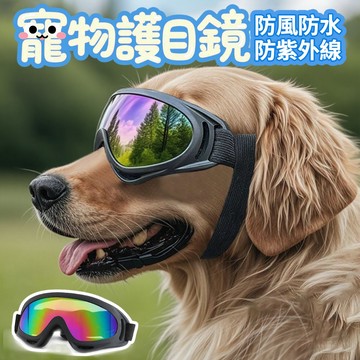 寵物護目鏡 炫彩款🕶️雙綁帶防滑設計 狗 狗狗防風墨鏡 護目鏡 太陽眼鏡 防風眼鏡 游泳護目鏡 寵物外出眼鏡 防砂