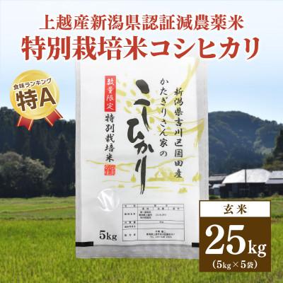 ふるさと納税 上越市 ★数量限定★令和5年産・新潟県上越市吉川区国田産・新潟県認証米 特別栽培米コシヒカリ玄米25kg