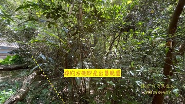 關西水母娘道路裡面的超值農地｜新竹縣關西鎮仁安段