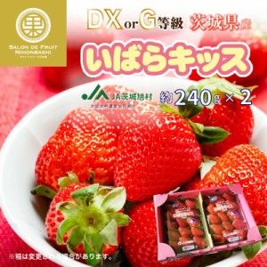 [予約 2024年2月11日-2月14日の納品] バレンタインデー いばらキッス 約240g×2 DX 茨城県産 高品位 いちご