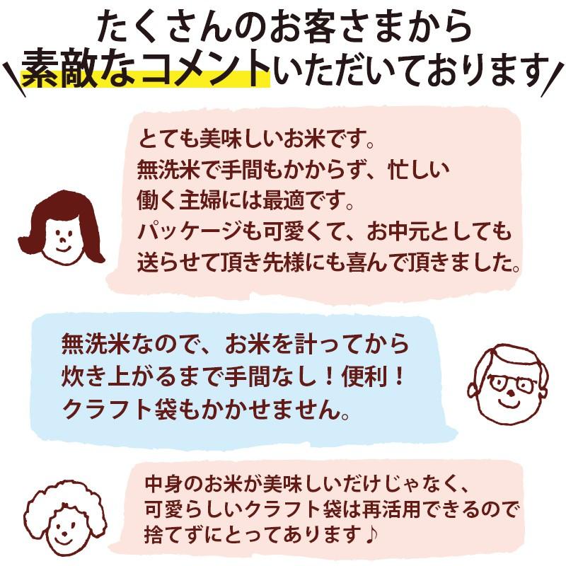 お米 米10kg 無洗米 送料無料 いなほんぽ米 10kg(5kg×2) 新潟産コシヒカリ  ギフト 内祝い  お歳暮