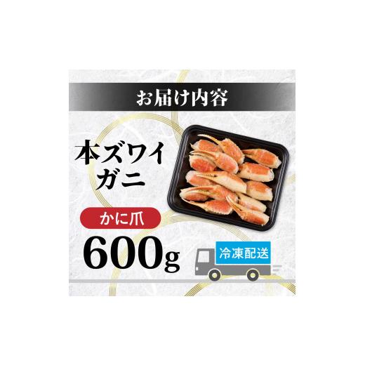 ふるさと納税 北海道 登別市 訳あり 冷凍 ボイル ずわいがに 爪 600g ズワイガニ