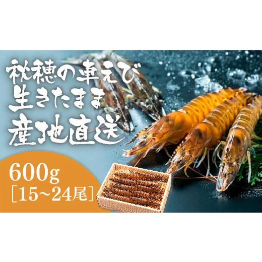 ふるさと納税 山口県 山口市 D-014 活きあいおえび600g（15〜24尾）