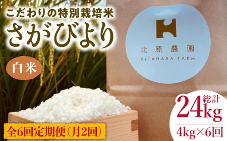 特別栽培米 令和5年産 新米 白米 さがびより 4kg特A米 特A評価[HCA014]