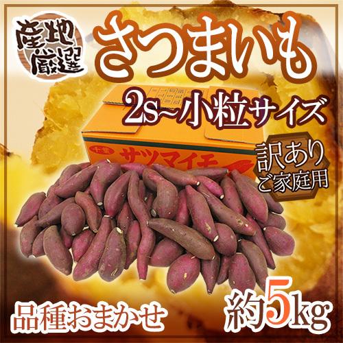 ”さつまいも” 訳あり 2S〜小粒サイズ 約5kg 品種おまかせ 産地厳選 送料無料