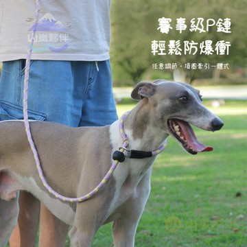 🐕寵物牽引繩 防爆衝 P鏈 一體式遛狗繩 中大型 訓練犬 寵物牽繩
