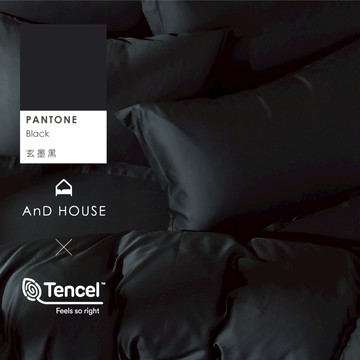 AnD House 天絲60支-玄墨黑-床包被套組｜安庭家居 素色 顏色任搭