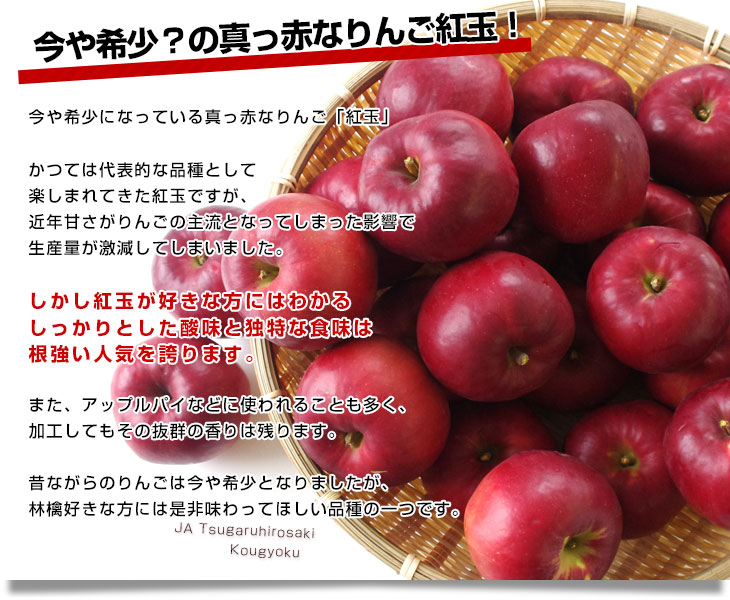 青森県より産地直送 JAつがる弘前 紅玉 約3キロ (9玉から13玉) 送料無料 りんご リンゴ 林檎