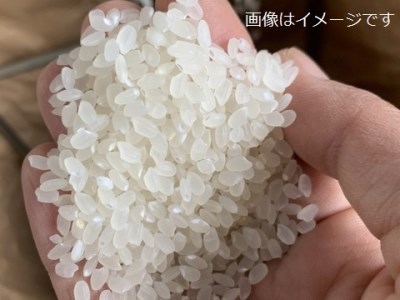 0025-56-01　富士山白糸ミルキークイーン　お米5kg 化学肥料不使用