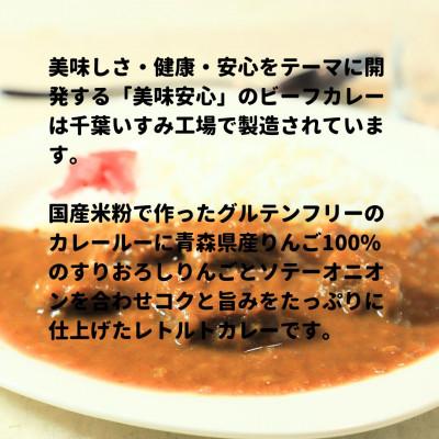 ふるさと納税 いすみ市 美味安心ビーフカレーレトルト　1人前190g×6個