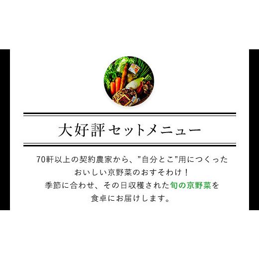 ふるさと納税 京都府 福知山市 鮮度抜群「京野菜」　食べきりサイズ詰合せ  ふるさと納税 京野菜 野菜 京都府 福知山市