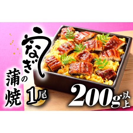 ふるさと納税 ZG144.うなぎの蒲焼１尾（計２００g以上）『１〜２ヶ月前後でお届け！！』 福岡県新宮町