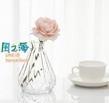 花瓶一支花玻璃花瓶透明水培花器裝飾小清新擺設風之海 Yahoo奇摩超級商城 Line購物