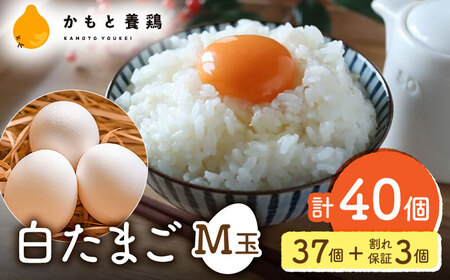 白たまご M玉 40個（37個＋3個割れ保証）タマゴ 玉子 熊本県たまご 卵 国産たまご 新鮮たまご しろたまご M玉たまご 熊本たまご 濃厚たまご たまご [ZCA009]