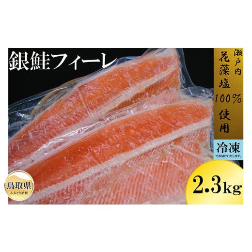 ふるさと納税 鳥取県 B23-353 冷凍定塩 銀鮭フィーレ 2.3kg以上