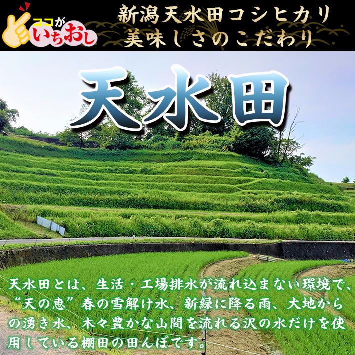 新米 令和5年 お米 10kg 新潟県天水田 コシヒカリ 白米10kg （5kg×2）天然雪解け水と湧き水で育てた 棚田米 ｜ 米 おこめ お米 10kg 白米 送料無料