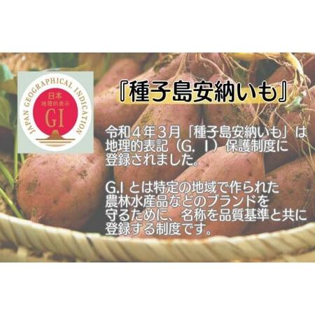 ふるさと納税 中園ファームの種子島安納いも（生いも）２Lサイズ　10ｋｇ　450pt　NFN535 鹿児島県西之表市