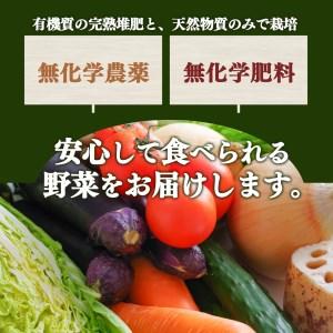 ふるさと納税 生命の農法（無化学農薬・無化学肥料栽培）季節の野菜セット 奈良県五條市