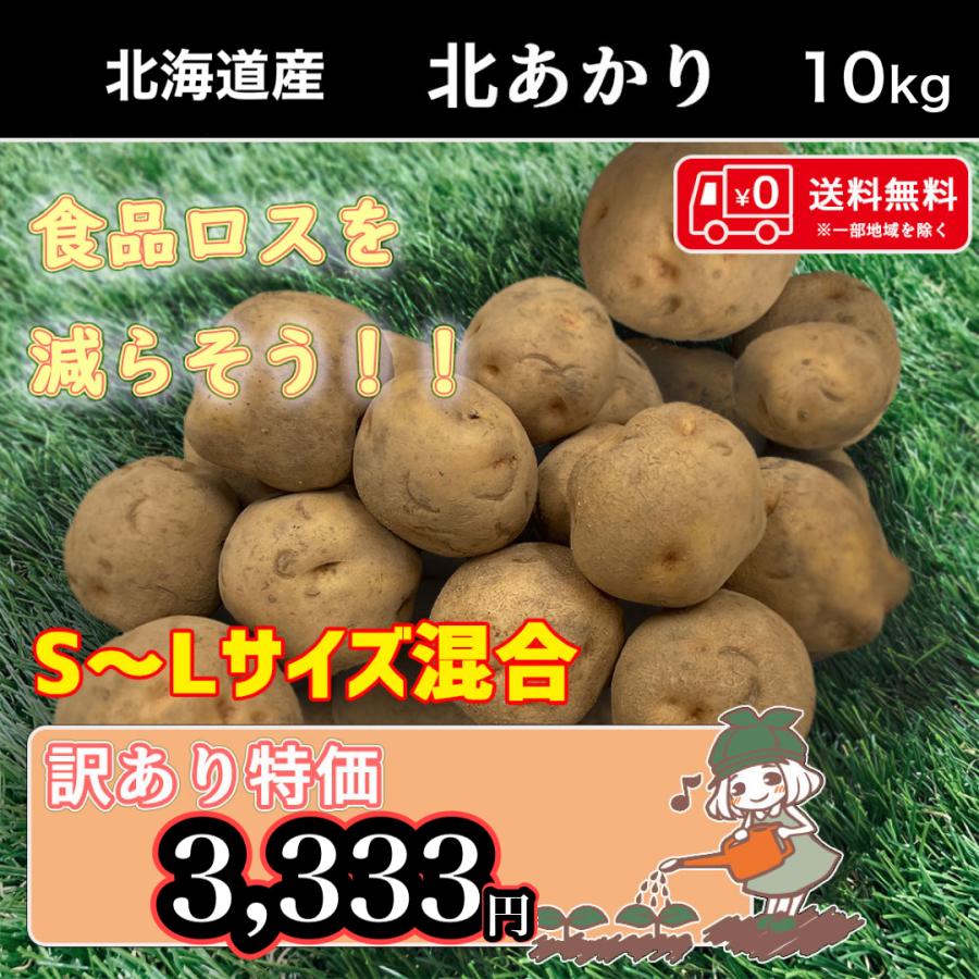 送料無料 北海道産 北あかり 訳あり 食品ロス S〜Lサイズ混合 10kg じゃがいも 馬鈴薯