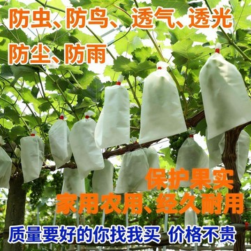 ⭐臺灣熱賣好物⭐透氣種菜專用袋防蟲無紡布瓜果套袋保護羊角密防蟲防果蠅透氣套袋