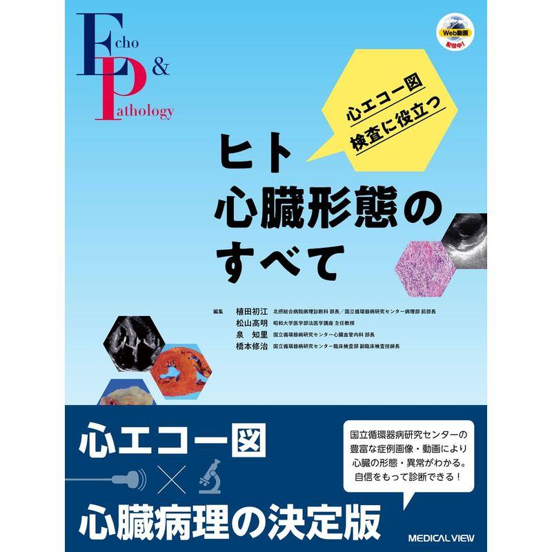 心エコー図検査に役立つ ヒト心臓形態のすべて