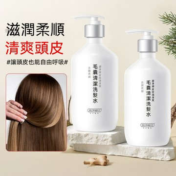 🔥台灣出貨🔥洗髮精 毛囊清潔洗髮水 大容量380ml 洗髮精 控油 蓬鬆洗髮 控油洗髮 清爽控油 蓬鬆 洗髮