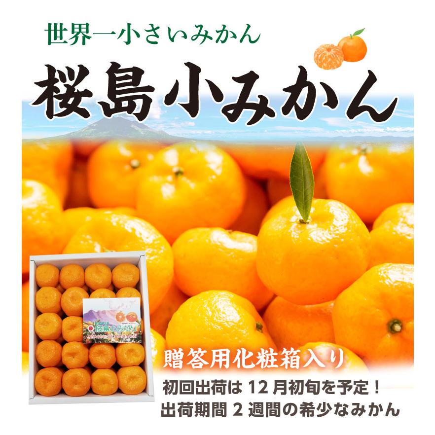 ポイント5倍 お歳暮 ギフト 桜島 小みかん 秀品 贈答用 3kg 送料無料 12月出荷 お正月 Y常