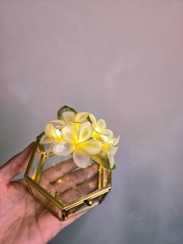 【沾浸藝術•玻璃飾盒】雞蛋花。小夜燈。生日禮物