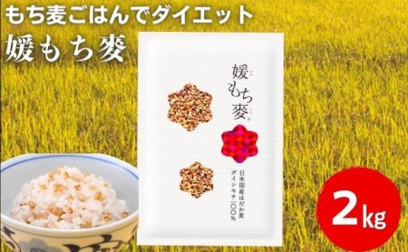 媛もち麥1kg2袋セット／もち麦 麦ごはん 雑穀