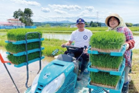 米 『定期便』厳選宮城ひとめぼれ 精米20kg 全3回 [菅原商店 宮城県 加美町 44580975]