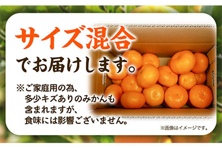 沿線みかん 約5kg 和歌山電鐵株式会社《10月下旬-2024年1月上旬頃より発送予定》和歌山県 紀の川市 フルーツ 果物 みかん 柑橘